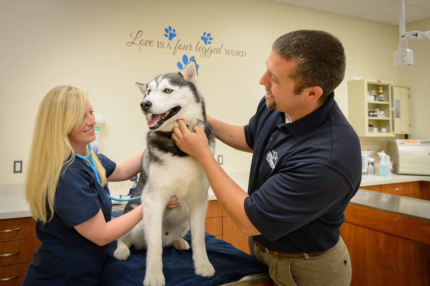 Veterinarians Heidi Morey '05 (CAHNR) and Scott Morey '06 (CAHNR) examine Jonathan XIV at Fenton River Veterinary Hospital in Tolland.