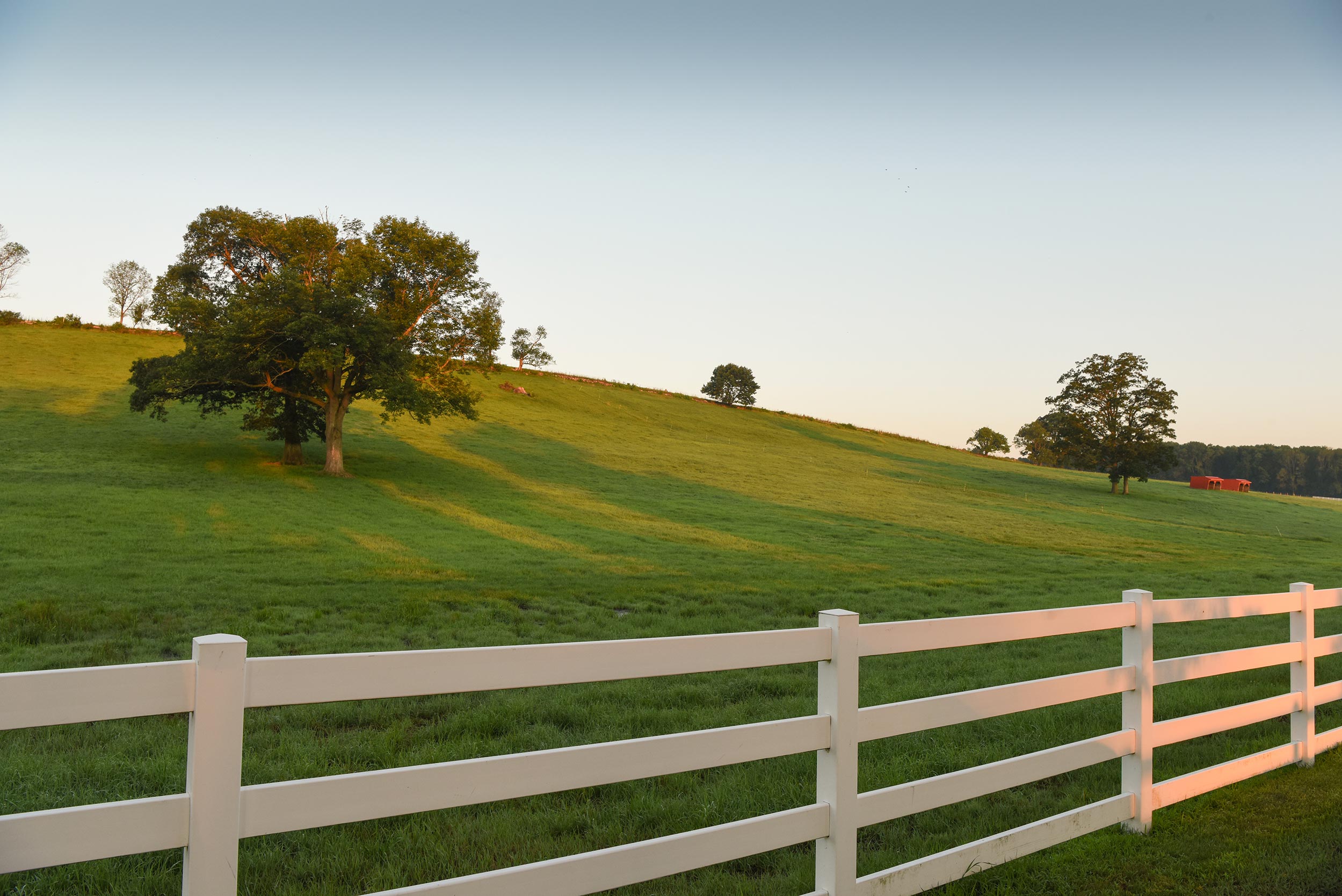 Horsebarn Hill