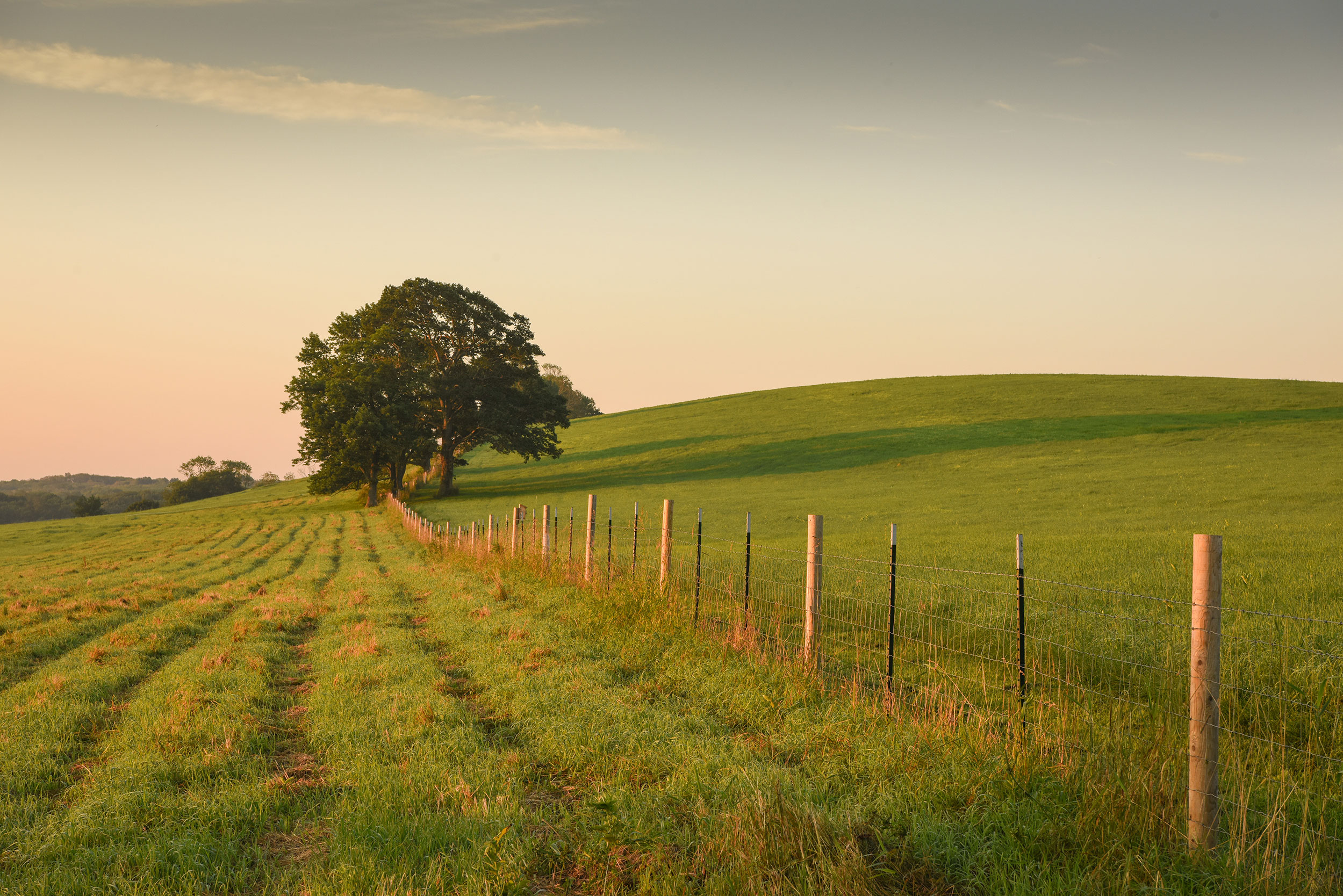 Horsebarn Hill